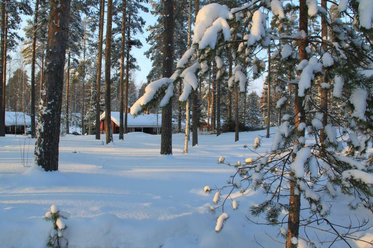 Pankkotupa 16-B Villa Punkaharju Ngoại thất bức ảnh
